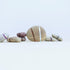 stone+glass : c-28-317